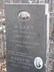 Файвуш Софья Вульфовна, Москва, Востряковское кладбище