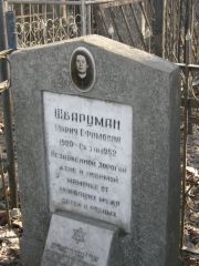 Шварцман Мария Ефимовна, Москва, Востряковское кладбище