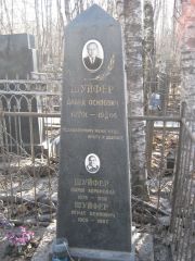 Шуйфер Давид Осипович, Москва, Востряковское кладбище