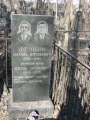 Резник Михаил Шмульевич, Москва, Востряковское кладбище