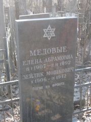 Медовая Елена Абрамовна, Москва, Востряковское кладбище