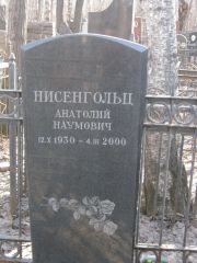 Нисенгольц Анатолий Наумович, Москва, Востряковское кладбище