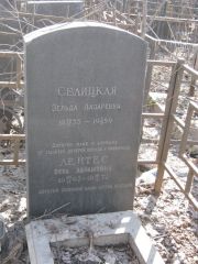 Селицкая Зельда Лазаревна, Москва, Востряковское кладбище