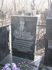 Степовай Борис Васильевич, Москва, Востряковское кладбище