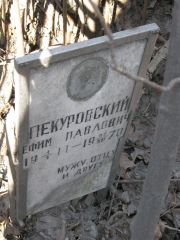 Пекуровский Ефим Павлович, Москва, Востряковское кладбище