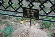 Дворкина-Вайн Лилия , Москва, Востряковское кладбище