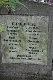 Рабинович Александр Рафаилович, Москва, Востряковское кладбище