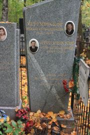 Мереминский Илья Александрович, Москва, Востряковское кладбище