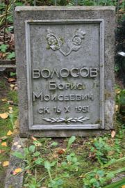 Волосов Борис Моисеевич, Москва, Востряковское кладбище