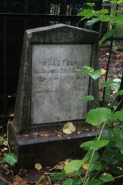 Нахотович Анна Абрамовна, Москва, Востряковское кладбище