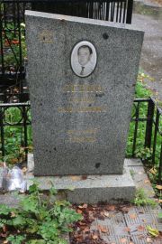 Левин Давид Самуилович, Москва, Востряковское кладбище