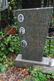 Левин Сауил Давидович, Москва, Востряковское кладбище