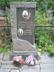 Спринцзон Алмен Гилевич, Москва, Востряковское кладбище
