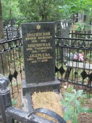 Брагинская Анна Соломоновна, Москва, Востряковское кладбище