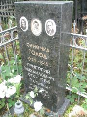 Голод Сенечка , Москва, Востряковское кладбище