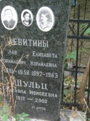 Левитина Елизавета Израилевна, Москва, Востряковское кладбище
