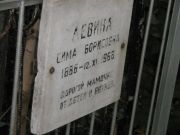 Левина Сима Борисовна, Москва, Востряковское кладбище