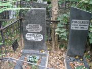 Хасин Моисей Яковлевич, Москва, Востряковское кладбище