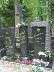 Дубов Янжи Маркович, Москва, Востряковское кладбище