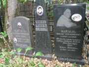 Майзель Вениаминович Моисей, Москва, Востряковское кладбище