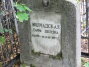 Молчадская Серра Евсеевна, Москва, Востряковское кладбище