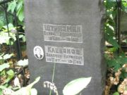 Штразман Сарра Абрамовна, Москва, Востряковское кладбище