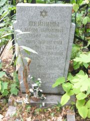 Шейнина Анна Абрамовна, Москва, Востряковское кладбище