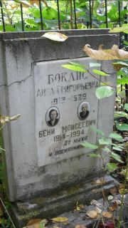 Боклис Анна Григорьевна, Москва, Востряковское кладбище