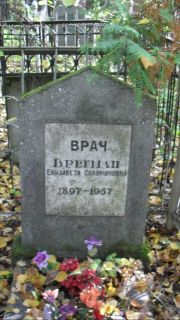 Брегман Елизавета Соломоновна, Москва, Востряковское кладбище