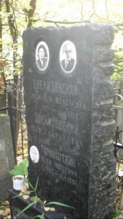 Целиховский Шая Гейнахович, Москва, Востряковское кладбище