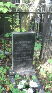 Короткий Илья Яковлевич, Москва, Востряковское кладбище