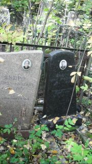Якиро Ефим Моисеевич, Москва, Востряковское кладбище