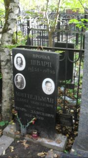 Миттельман Давид Моисеевич, Москва, Востряковское кладбище