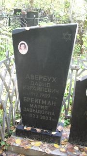 Авербух Давид Израилевич, Москва, Востряковское кладбище