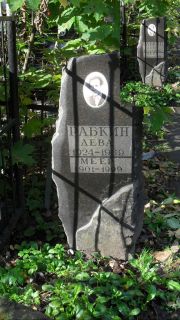 Рабкин Лева , Москва, Востряковское кладбище
