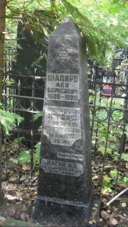 Шапиро Лев Борисовна, Москва, Востряковское кладбище