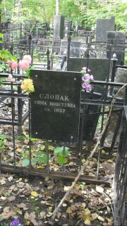 Слопак Сима Моисеевна, Москва, Востряковское кладбище
