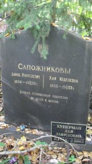 Сапожников Давид Ионтелевич, Москва, Востряковское кладбище