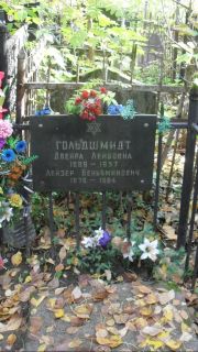 Гольдшмидт Двейра Лейбовна, Москва, Востряковское кладбище