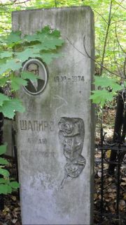 Шапиро Абрам Соломонович, Москва, Востряковское кладбище