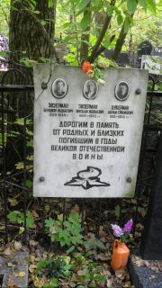 Цукерман Абрам Ефимович, Москва, Востряковское кладбище