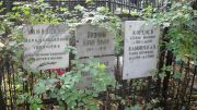 Аронина Рейзель Сролевна, Москва, Востряковское кладбище