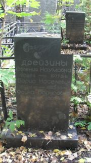 Дрейзина Евгения Наумовна, Москва, Востряковское кладбище