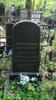 Луповер Хана Ихилевна, Москва, Востряковское кладбище