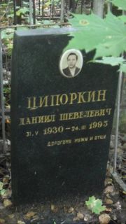 Ципоркин Даниил Шевелевич, Москва, Востряковское кладбище