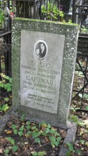 Барзман Рива Абрамовна, Москва, Востряковское кладбище