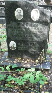 Аронов Петр Моисеевич, Москва, Востряковское кладбище