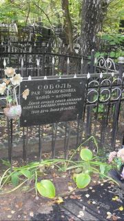 Соболь Рая Эмануиловна, Москва, Востряковское кладбище