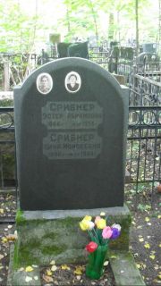 Срибнер Эстер Абрамовна, Москва, Востряковское кладбище