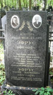 Эфрус Яков Моисеевич, Москва, Востряковское кладбище